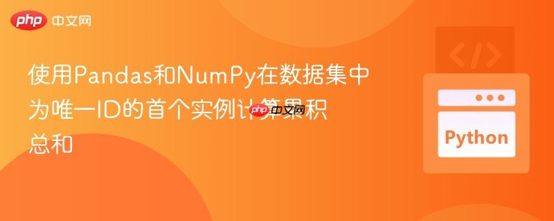 使用pandas和numpy在数据集中为唯一id的首个实例计算累积总和