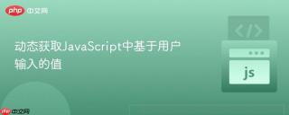 动态获取JavaScript中基于用户输入的值