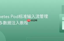 Kubernetes Pod标准输入流管理：启动与数据注入教程