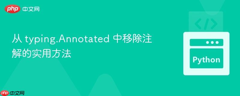 从 typing.Annotated 中移除注解的实用方法
