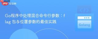 Go程序中处理混合命令行参数：flag 包与位置参数的最佳实践