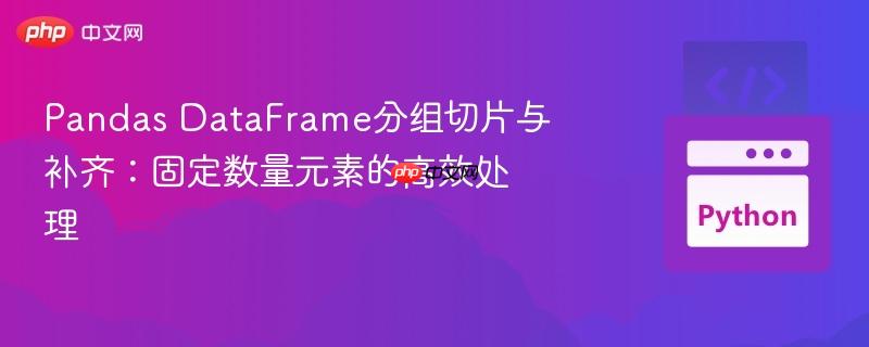 pandas dataframe分组切片与补齐：固定数量元素的高效处理