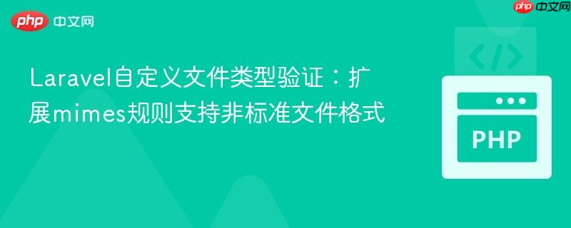 Laravel自定义文件类型验证:扩展mimes规则支持非标准文件格式