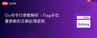 Go命令行参数解析：Flag与位置参数的正确处理姿势