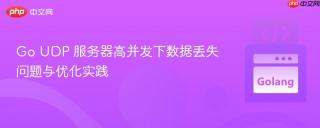 Go UDP 服务器高并发下数据丢失问题与优化实践