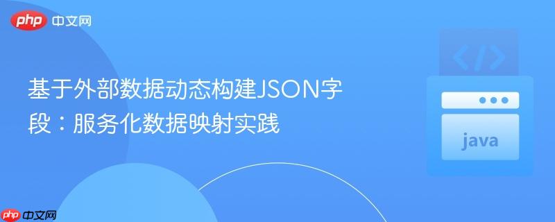 基于外部数据动态构建json字段:服务化数据映射实践