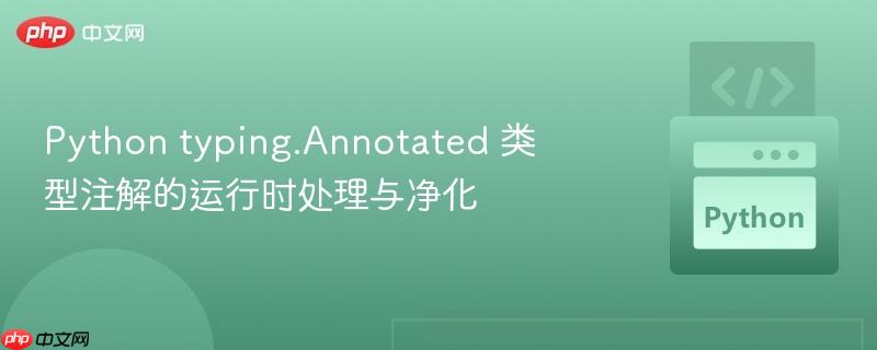 python typing.annotated 类型注解的运行时处理与净化