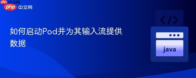 如何启动pod并为其输入流提供数据