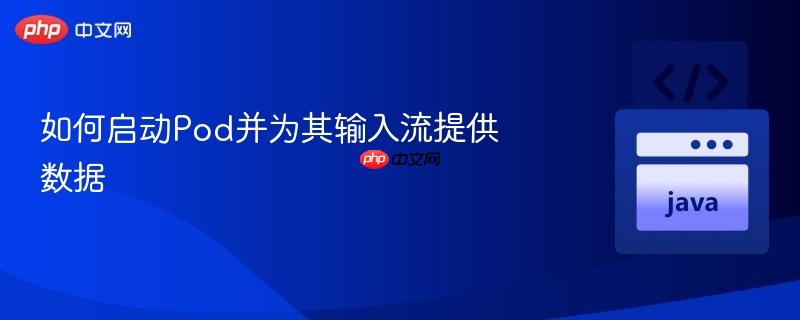如何启动Pod并为其输入流提供数据