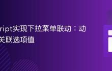 JavaScript实现下拉菜单联动：动态切换关联选项值