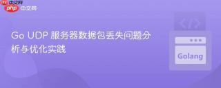 Go UDP 服务器数据包丢失问题分析与优化实践