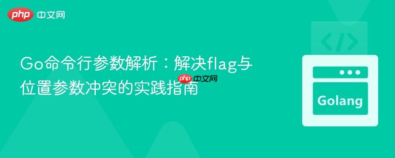 go命令行参数解析:解决flag与位置参数冲突的实践指南