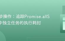 优化异步操作：追踪Promise.allSettled中独立任务的执行耗时