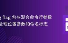 Golang flag 包与混合命令行参数：正确处理位置参数和命名标志