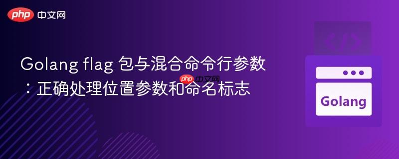 Golang flag 包与混合命令行参数：正确处理位置参数和命名标志
