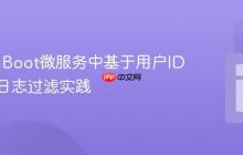 Spring Boot微服务中基于用户ID的动态日志过滤实践
