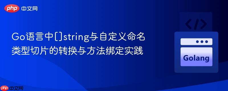 Go语言中[]string与自定义命名类型切片的转换与方法绑定实践
