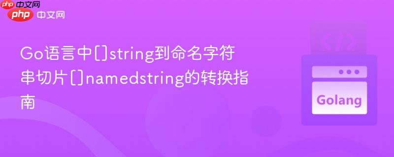go语言中[]string到命名字符串切片[]namedstring的转换指南