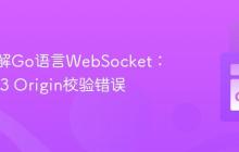 深入理解Go语言WebSocket：解决403 Origin校验错误