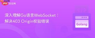 深入理解Go语言WebSocket：解决403 Origin校验错误