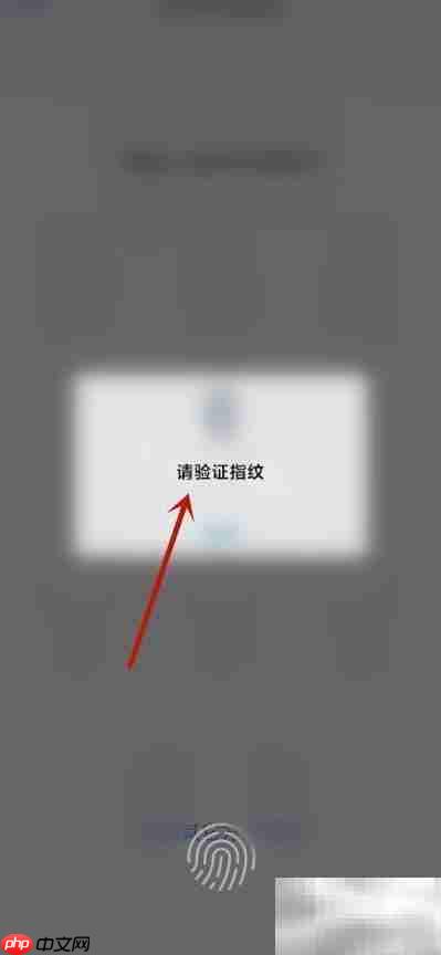 个税首页常用业务设置指南