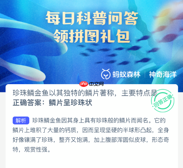 珍珠鳞金鱼以其独特的鳞片著称主要特点是