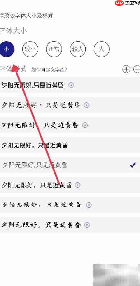 每日记小字体设置技巧