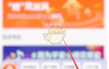 《平安消费金融》查看历史账单方法