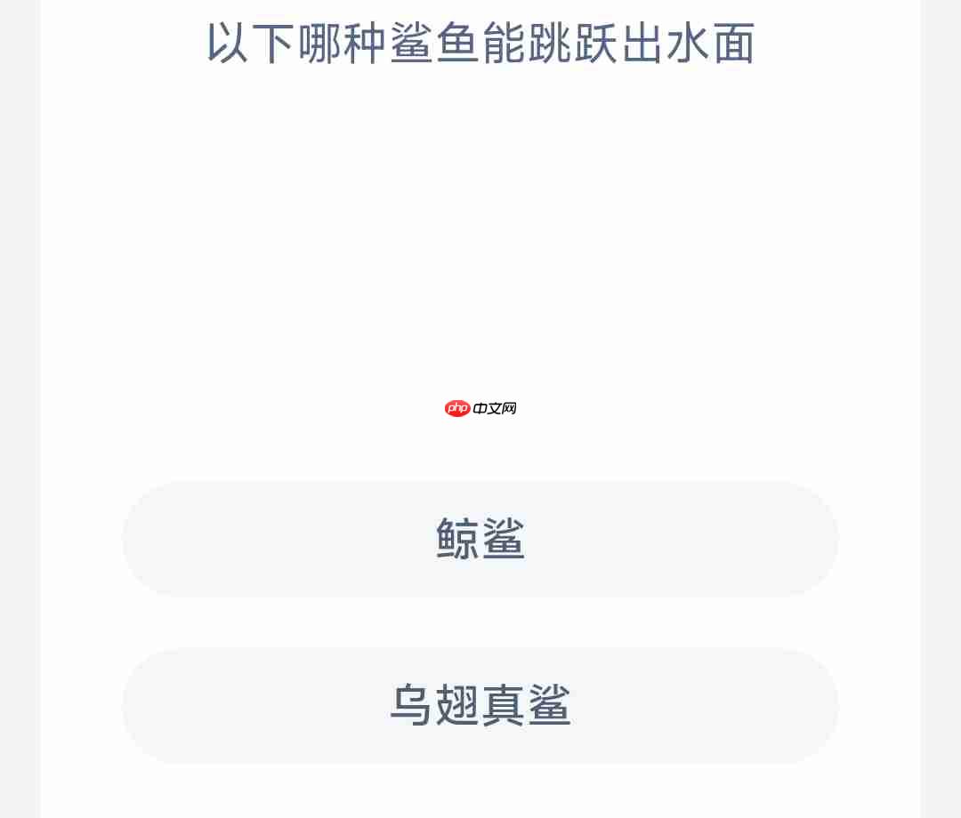 以下哪种鲨鱼能跳跃出水面