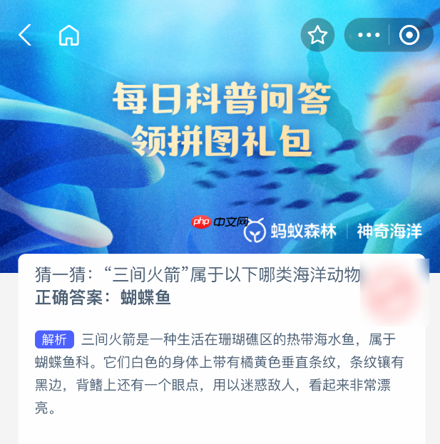 猜一猜间火箭属于以下哪类海洋动物