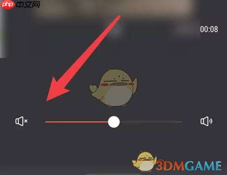 《畅片》关闭视频声音方法