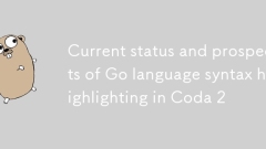 État actuel et perspectives de la coloration syntaxique du langage Go dans Coda 2