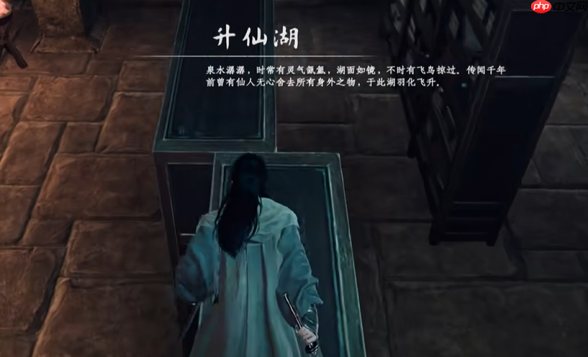 《下一站江湖2》白首太玄经获取方法