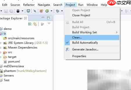 无法投影动态Web模块