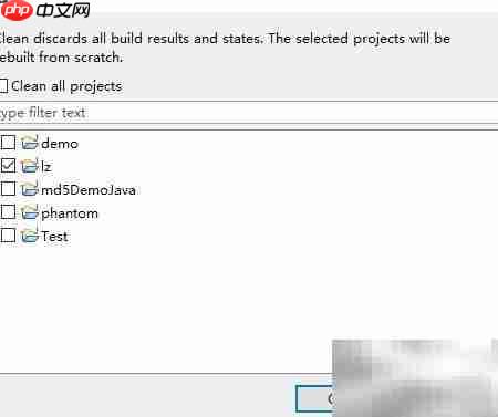 无法投影动态Web模块