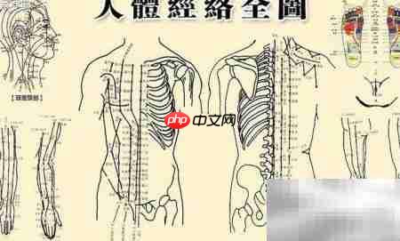 四种通经络妙法