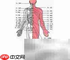 四种通经络妙法