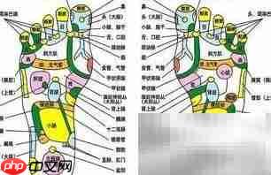 四种通经络妙法