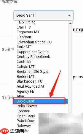 谷歌浏览器设置Droid Serif字体