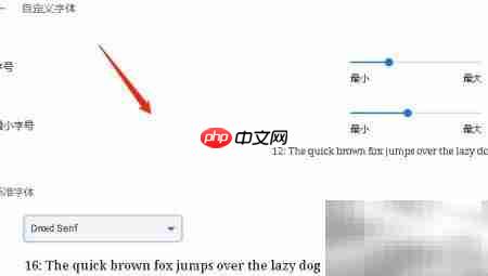 谷歌浏览器设置Droid Serif字体
