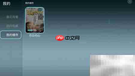 荣耀盒子语音搜片看记录