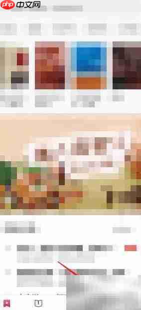 凤凰书苑书币充值指南