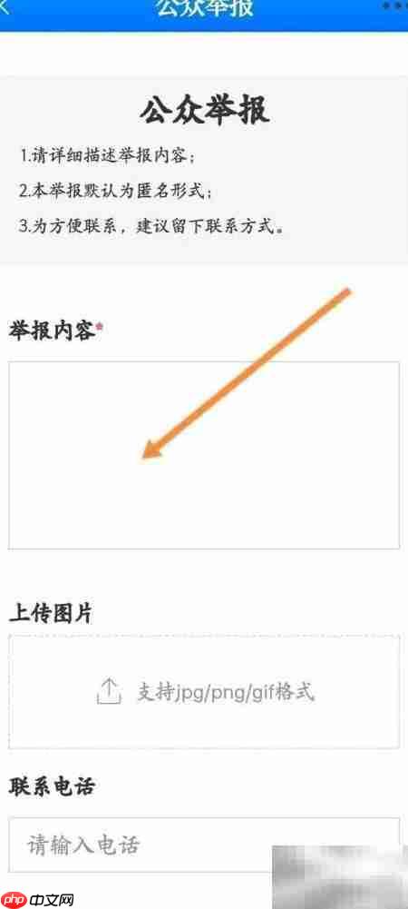 大江举报操作指南