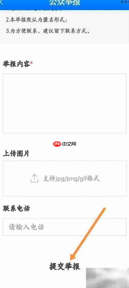 大江举报操作指南
