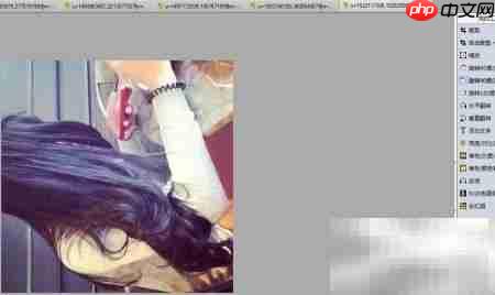 舞蝶飞照片旋转90度反向教程