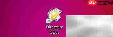directory opus智能收藏设置