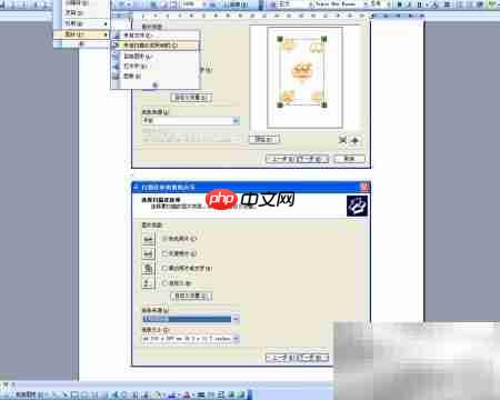 word调用twain实现扫描