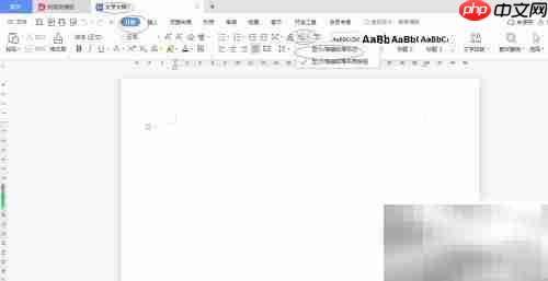 WPS隐藏段落标记方法