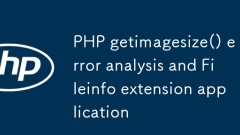 PHP getimagesize() Fehleranalyse und Fileinfo-Erweiterungsanwendung
