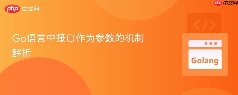 go语言中接口作为参数的机制解析